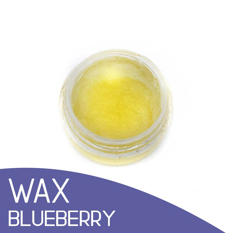 WAX RESINA Blueberry